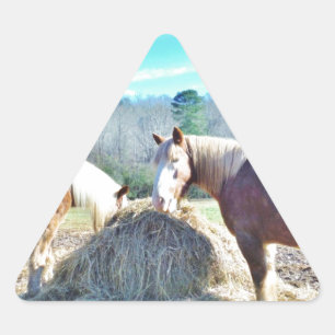 Sticker Triangulaire Ébauche secourue Chevaux mangeant foin