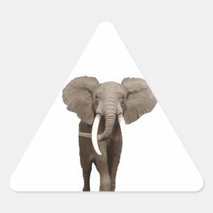 Sticker Triangulaire Eléphant