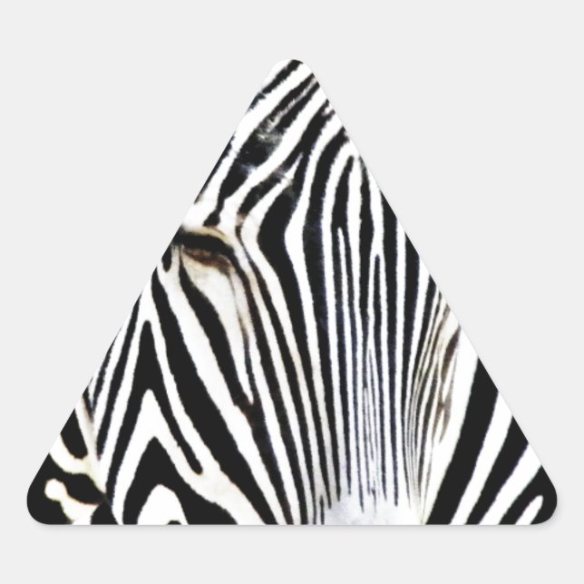 Sticker Triangulaire En attente_ (Devant)