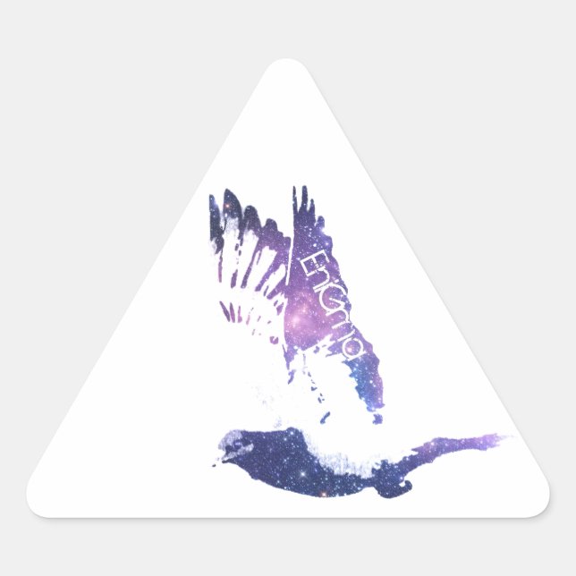 Sticker Triangulaire Exécuter les rues (Devant)