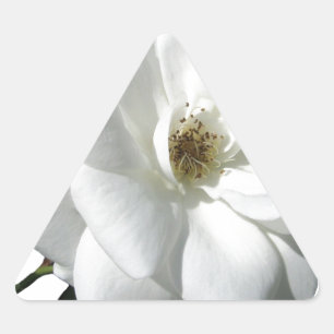 Sticker Triangulaire Fête de Mariage Fleurs de Rosée Blanche Destinée