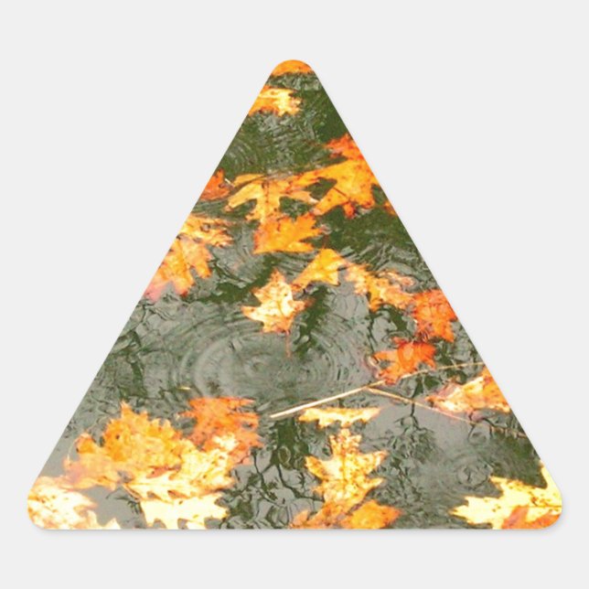 Sticker Triangulaire feuilles tombés sous la pluie (Devant)