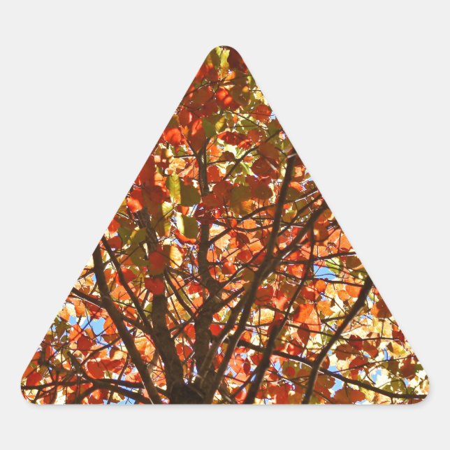 Sticker Triangulaire Feux d'artifice d'automne (Devant)