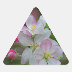 Sticker Triangulaire Fleur d'Apple