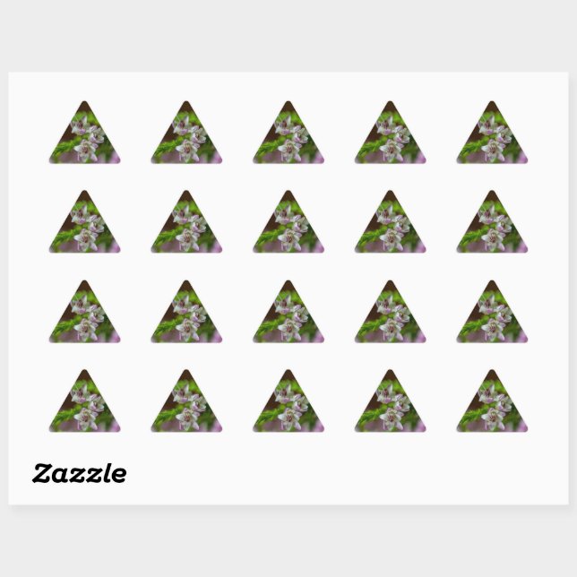 Sticker Triangulaire Fleur de printemps de Heather à feuillage persista (Feuille)