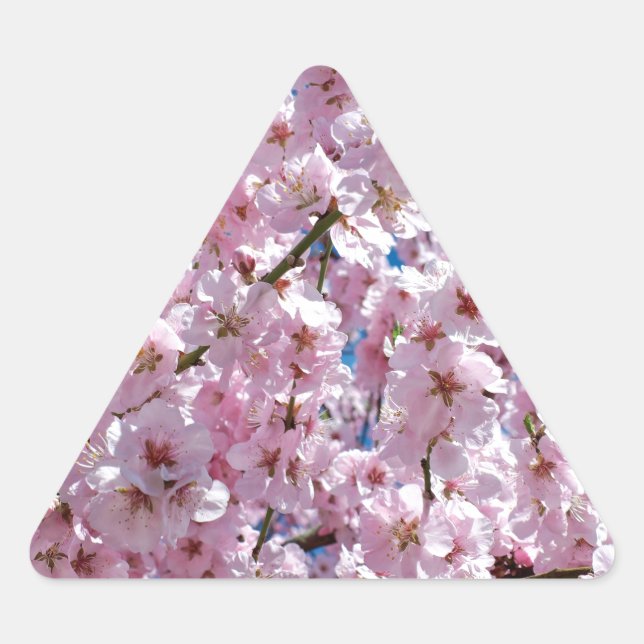 Sticker Triangulaire Fleur japonaise de cerisier (Devant)