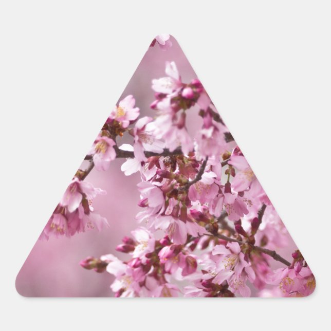 Sticker Triangulaire Fleurs de Cerisier Sakura Pastel Rose Calquees (Devant)