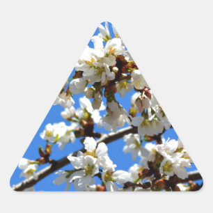 Sticker Triangulaire fleurs de printemps
