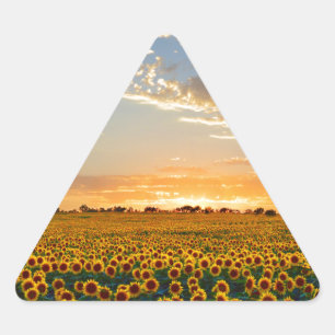 Sticker Triangulaire Fleurs de soleil au coucher du soleil