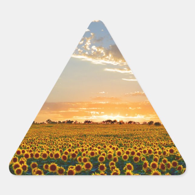 Sticker Triangulaire Fleurs de soleil au coucher du soleil (Devant)