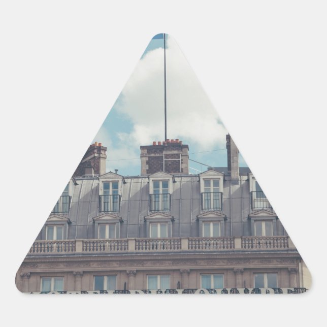 Sticker Triangulaire France (Devant)