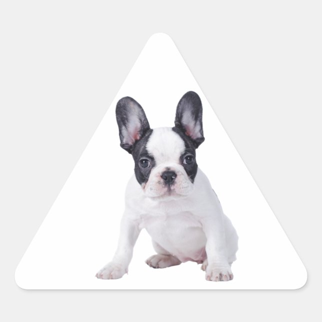 Sticker Triangulaire Frenchie - Chien français (Devant)