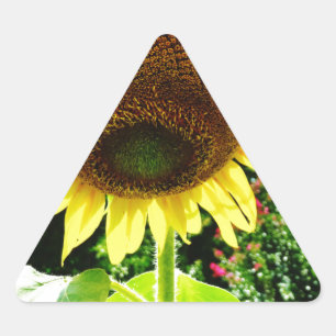 Sticker Triangulaire Grand tournesol jaune