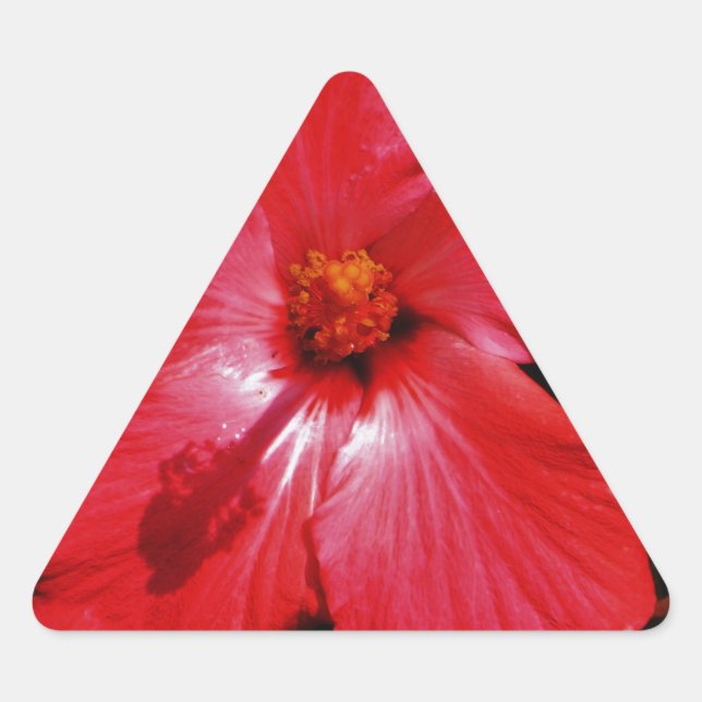 Sticker Triangulaire Hibiscus rouge (Devant)