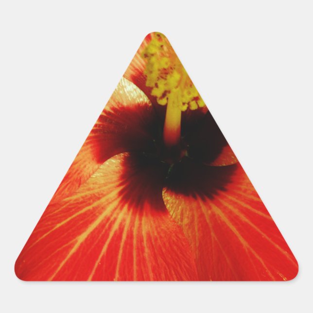 Sticker Triangulaire Hibiscus rouge (Devant)
