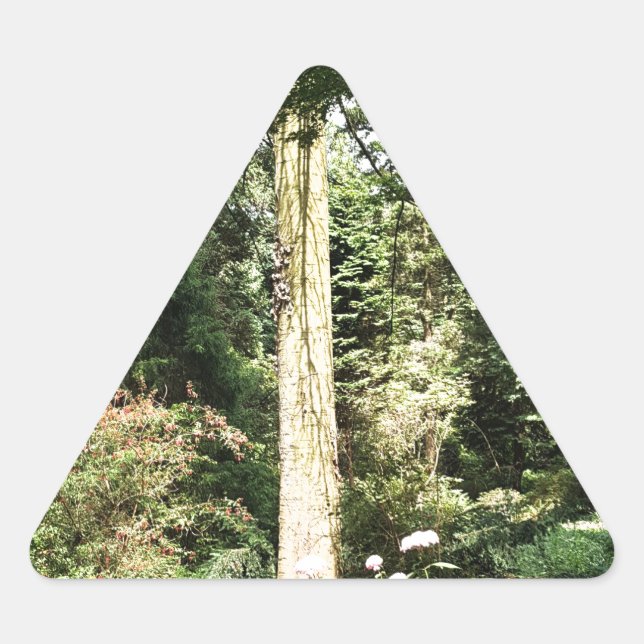 Sticker Triangulaire Hydrangea Wood Trees (Devant)