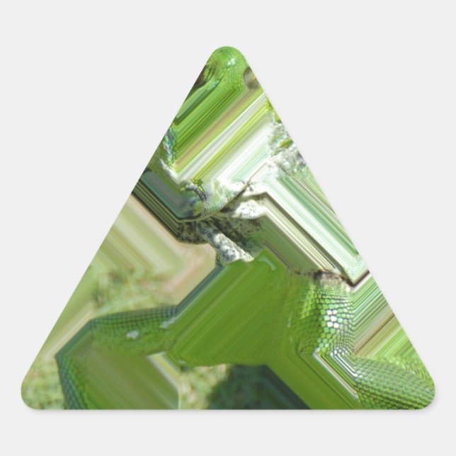 Sticker Triangulaire Iguane vert (Devant)