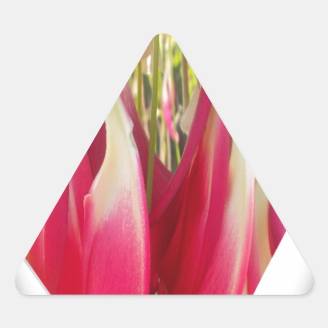 Sticker Triangulaire Impression d'art au cœur floral (Devant)