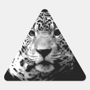Sticker Triangulaire Jaguar noir et blanc