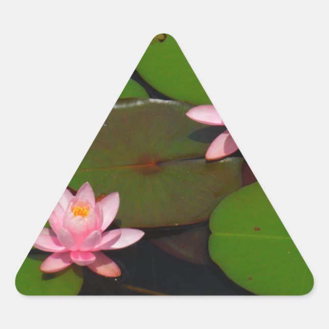 Sticker Triangulaire Jardin de fleurs de laine d'eau de lotus rose, (Devant)