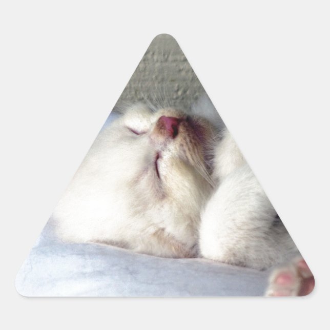 Sticker Triangulaire Kitten endormi (Devant)