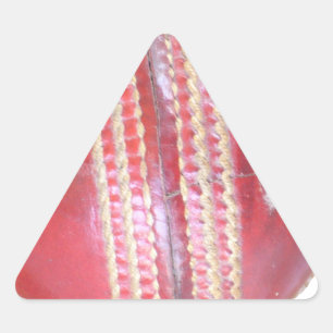 Sticker Triangulaire La sphère du maître de la rotation : une balle de