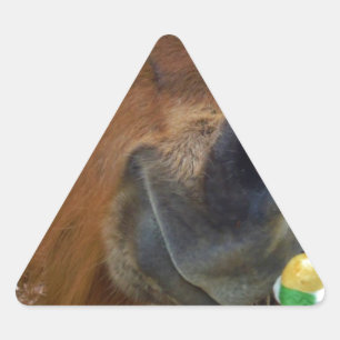 Sticker Triangulaire Lapin de Pâques et cheval Brown
