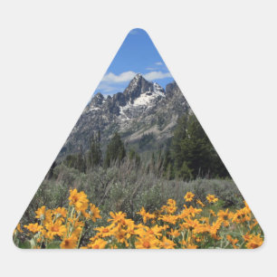 Sticker Triangulaire Le printemps dans le parc national de Grand Teton