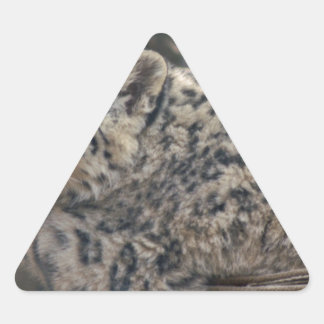 Sticker Triangulaire Léopard des neiges