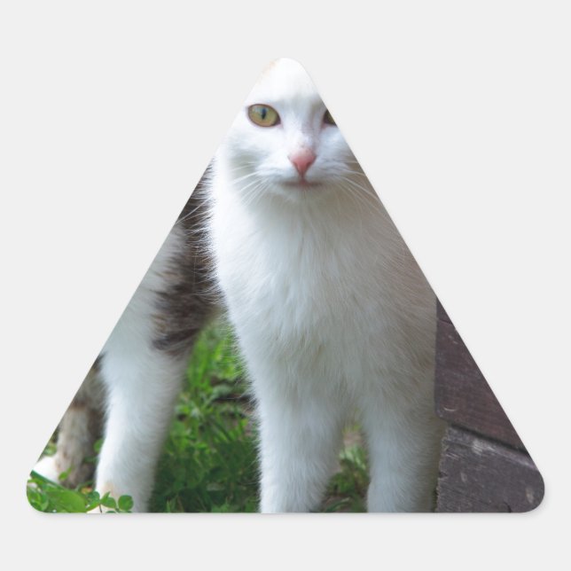 Sticker Triangulaire Les chats jouent (Devant)