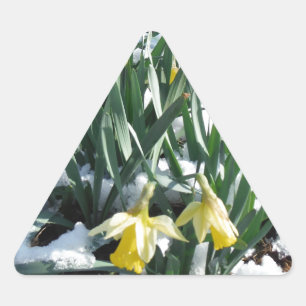 Sticker Triangulaire Les jonquilles jaunes dans la neige