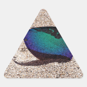Sticker Triangulaire Lunettes de soleil