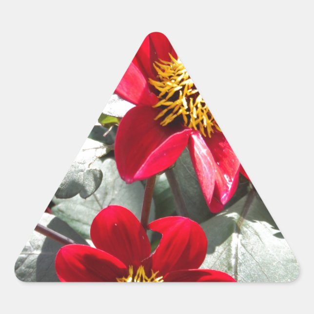 Sticker Triangulaire marguerite rose chaud rouge / marguerites fleurs (Devant)