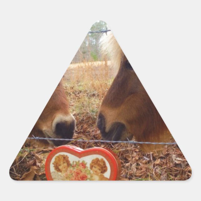 Sticker Triangulaire Miniature Donkey & Horse Valentine Heart (Devant)