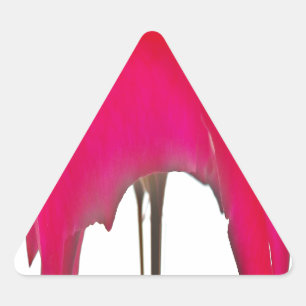 Sticker Triangulaire Moment capturé : Une Élégance Pétale Rose Rouge