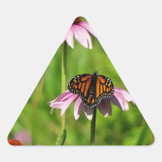 Sticker Triangulaire Monarch butterfly on a purple coneflower (Devant)