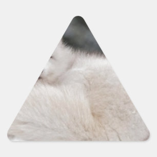 Sticker Triangulaire neige hiver neige glace arctique renard