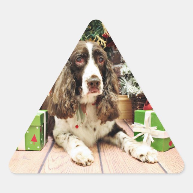 Sticker Triangulaire Noël - Anglais Springer Spaniel - Logan (Devant)