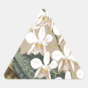Sticker Triangulaire Orchidées