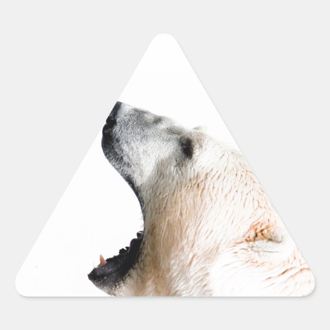 Sticker Triangulaire Ours polaire (Devant)