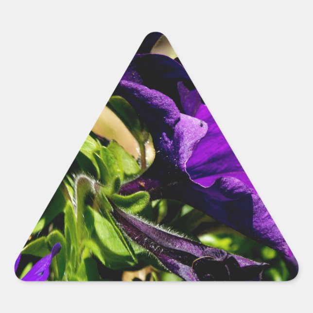 Sticker Triangulaire Panique violette (Devant)
