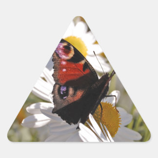 Sticker Triangulaire Papillon noir violet rouge sur les marguerites