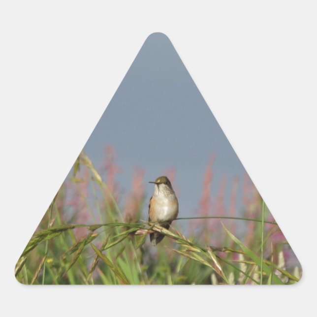 Sticker Triangulaire Petit colibri gras (Devant)