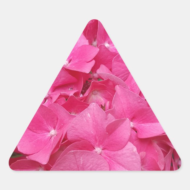Sticker Triangulaire Photographie florale rose Nature (Devant)