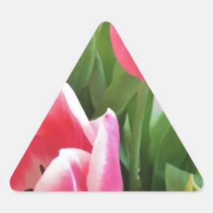 Sticker Triangulaire Pink Tulips, Floral Spring Bouquet, Flowers