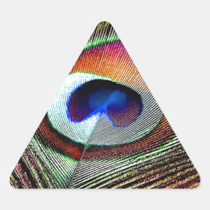Sticker Triangulaire Plume colorée de paon en cuivre