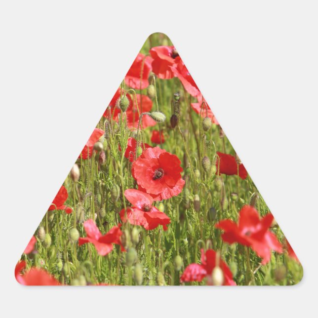 Sticker Triangulaire Poppy field (Devant)