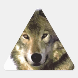 Sticker Triangulaire Portrait Wolf