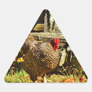 Sticker Triangulaire Poulet noir et blanc dans la ferme