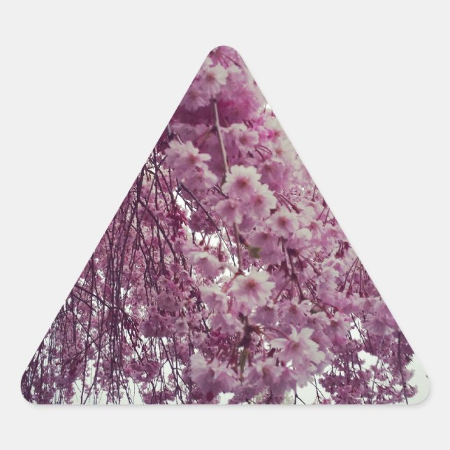 Sticker Triangulaire Printemps (Devant)